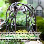 Creating a Fairy Garden by The Everyday Home
