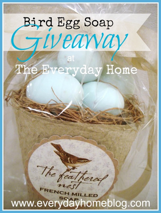 Egg Soap Giveaway at The Everyday Home