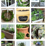 Great Uses for Herbs at The Everyday Home