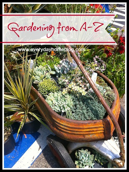 Container Gardening at The Everyday Home