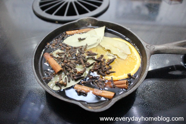 Easy, Homemade Autumn Boiling Spice by The Everyday Home #FALL #DIY 