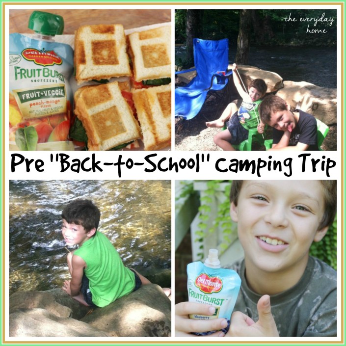 Asiago-Tomato-Baby Spinach Waffle Sandwich by The Everyday Home #backtoschool #Camping #snacks #recipes #DelMonte