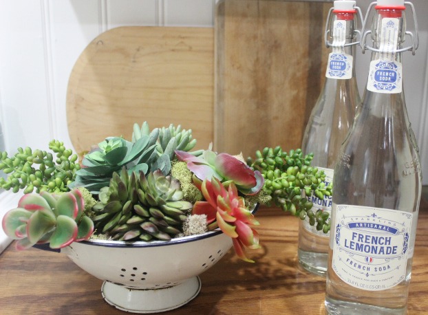 DIY Succulent Garden in a Vintage Blue and White Colander at The Everyday Home / www.everydayhomeblog.com