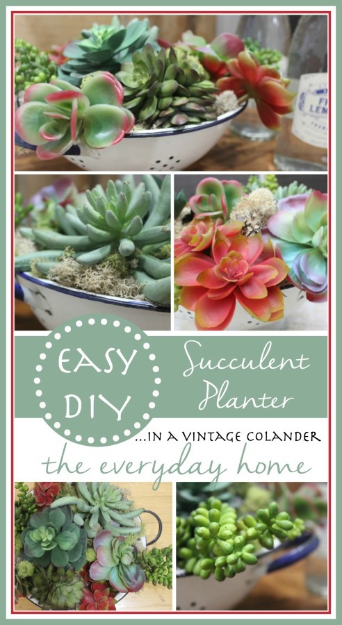 DIY Succulent Garden in a Vintage Blue and White Colander at The Everyday Home / www.everydayhomeblog.com