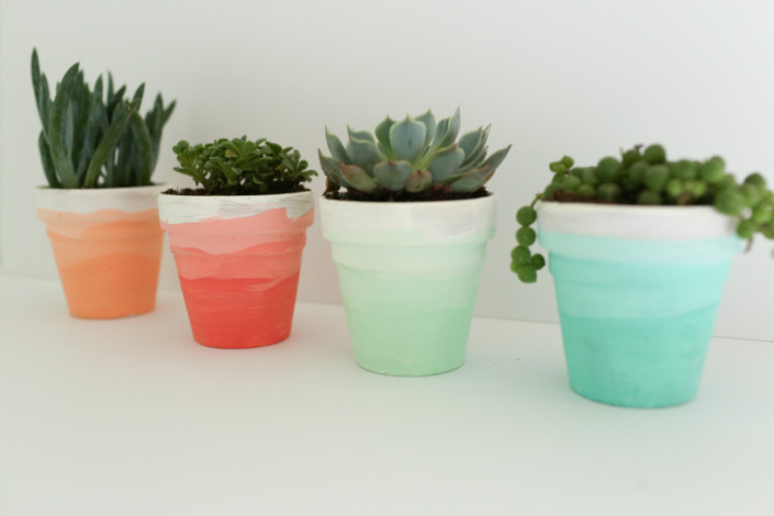 25 Ways to Use Succulents at The Everyday Home / www.everydayhomeblog.com
