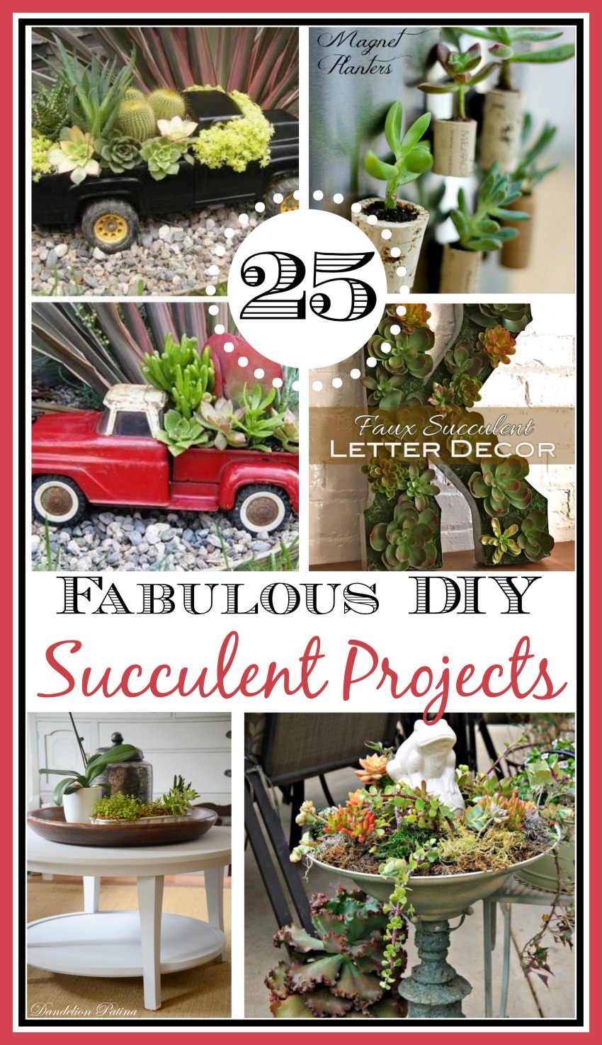 25 Ways to Use Succulents at The Everyday Home / www.everydayhomeblog.com