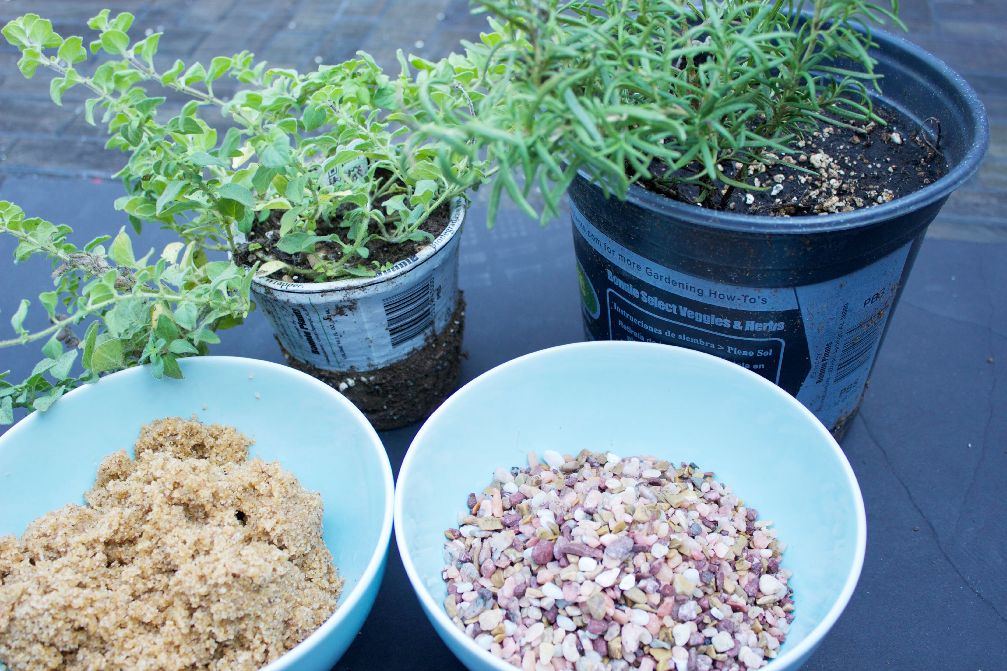 Planting Herbs | The Everyday Home | www.everydayhomeblog.com