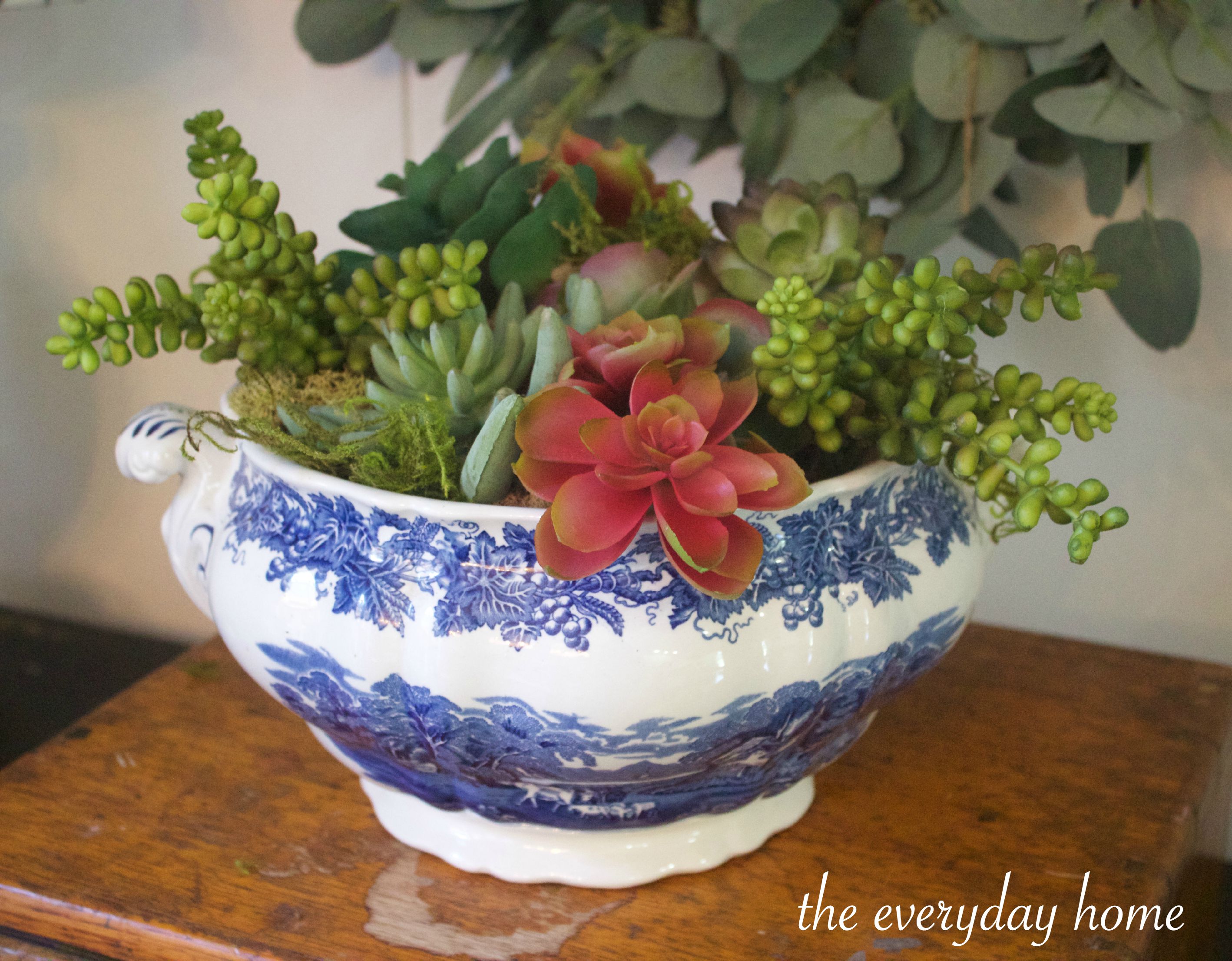 Blue Bowl of Succulents | The Everyday Home | www.everydayhomeblog.com