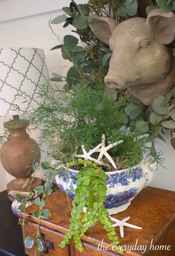 Plants and Shells in Blue Bowl | The Everyday Home | www.everydayhomeblog.com