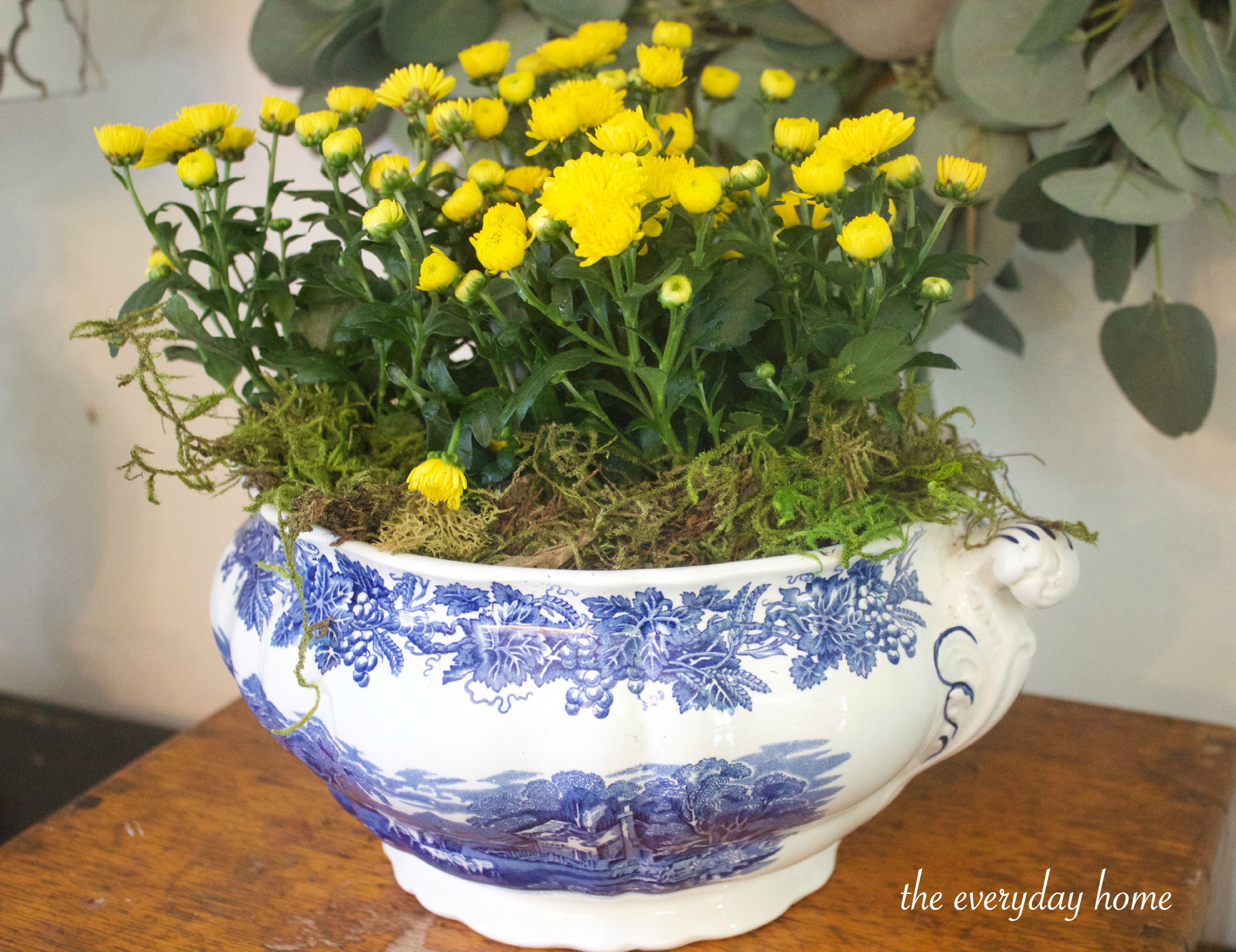 Yellow Mums in Blue Bowl The Everyday Home www.everydayhomeblog.com