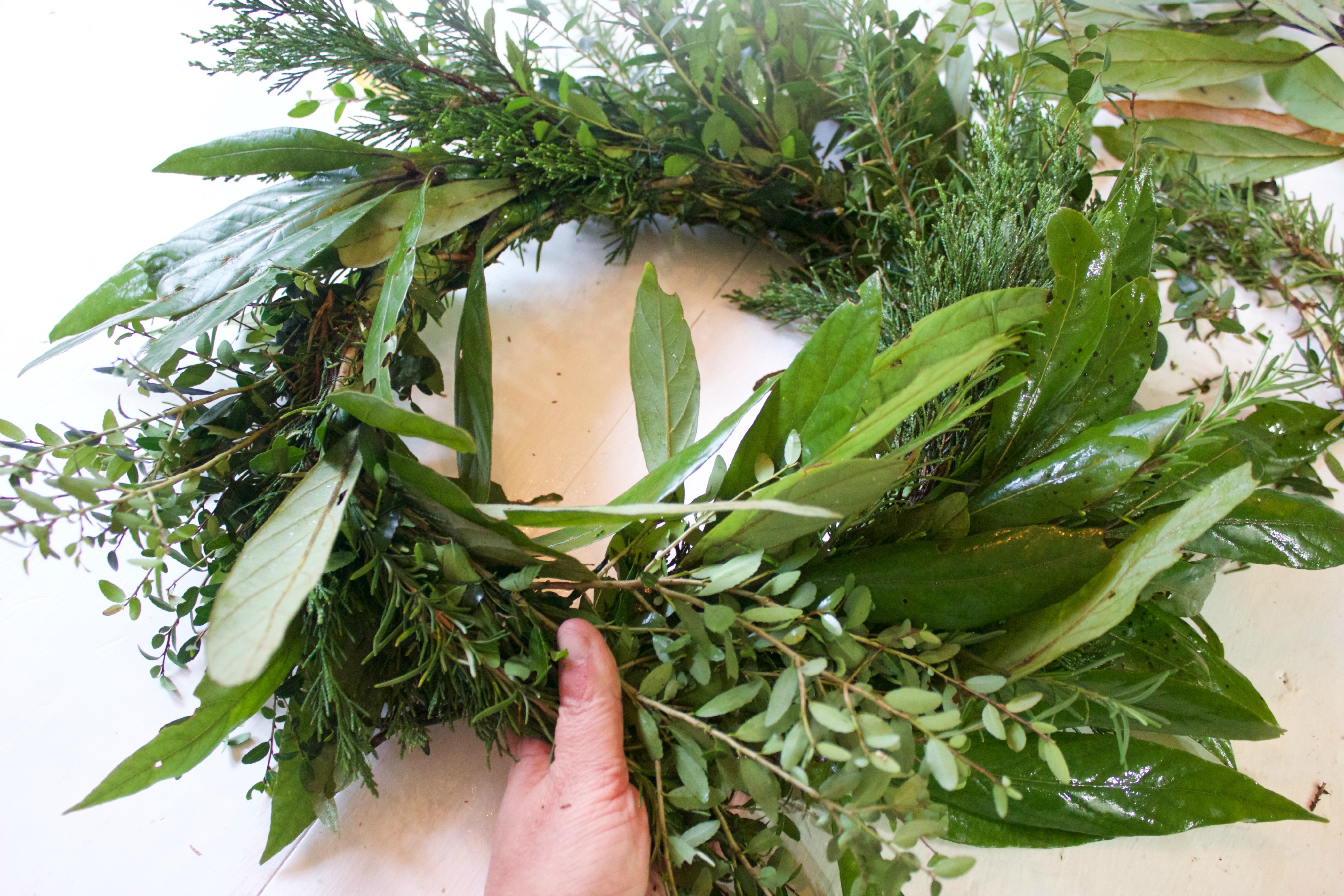 Forming the Evergreen Wreath |The Everyday Home | www.everydayhomeblog.com