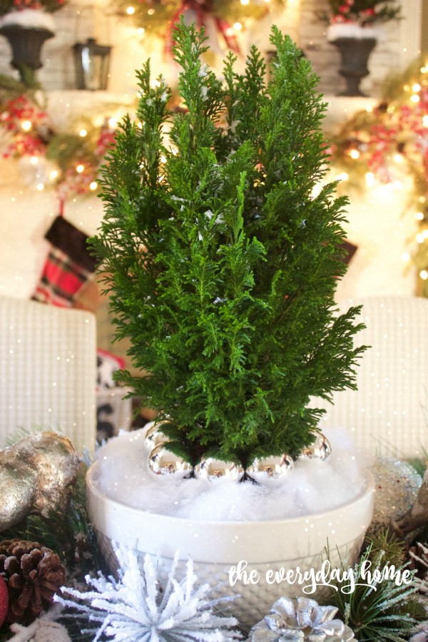 Green Cedar Tree | 2015 Christmas Dining Room | The Everyday Home | www.everydayhomeblog.com