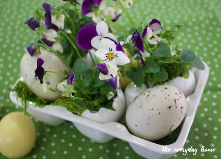 Eggshell Viola Planters | The Everyday Home | www.everydayhomeblog.com