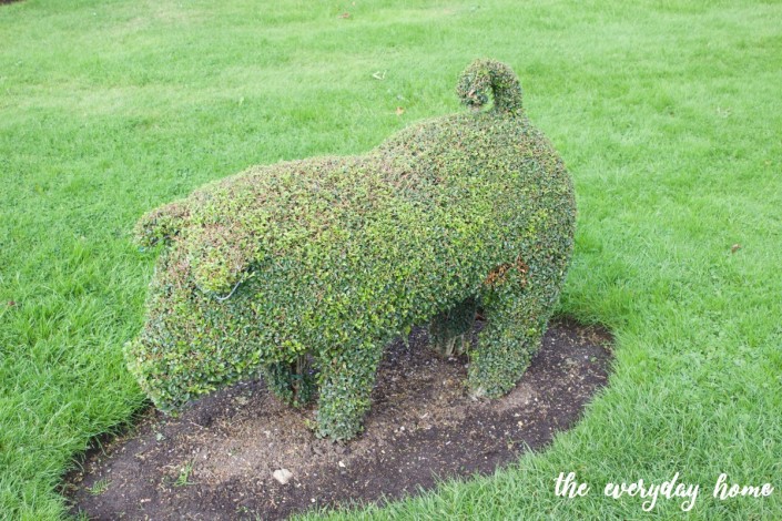 Hever Castle Pig Topiary | The Everyday Home