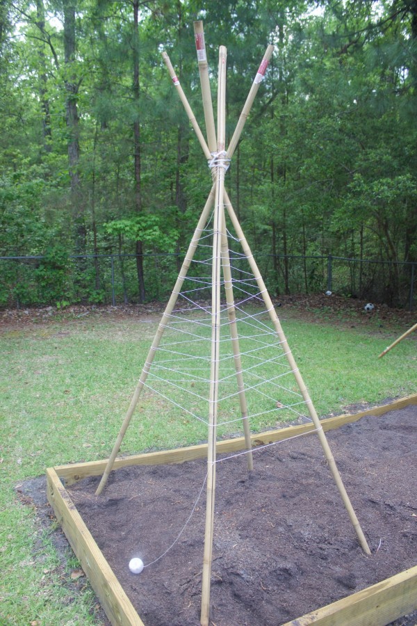How to Build a Bean Teepee Frame | The Everyday Home