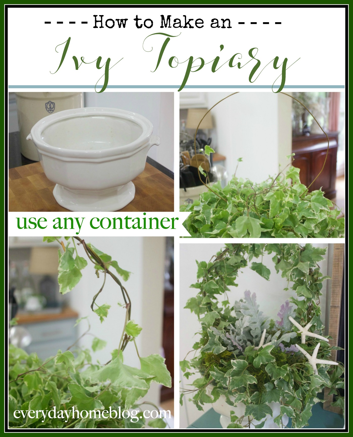 How to Make an Ivy Topiary | The Everyday Home Blog