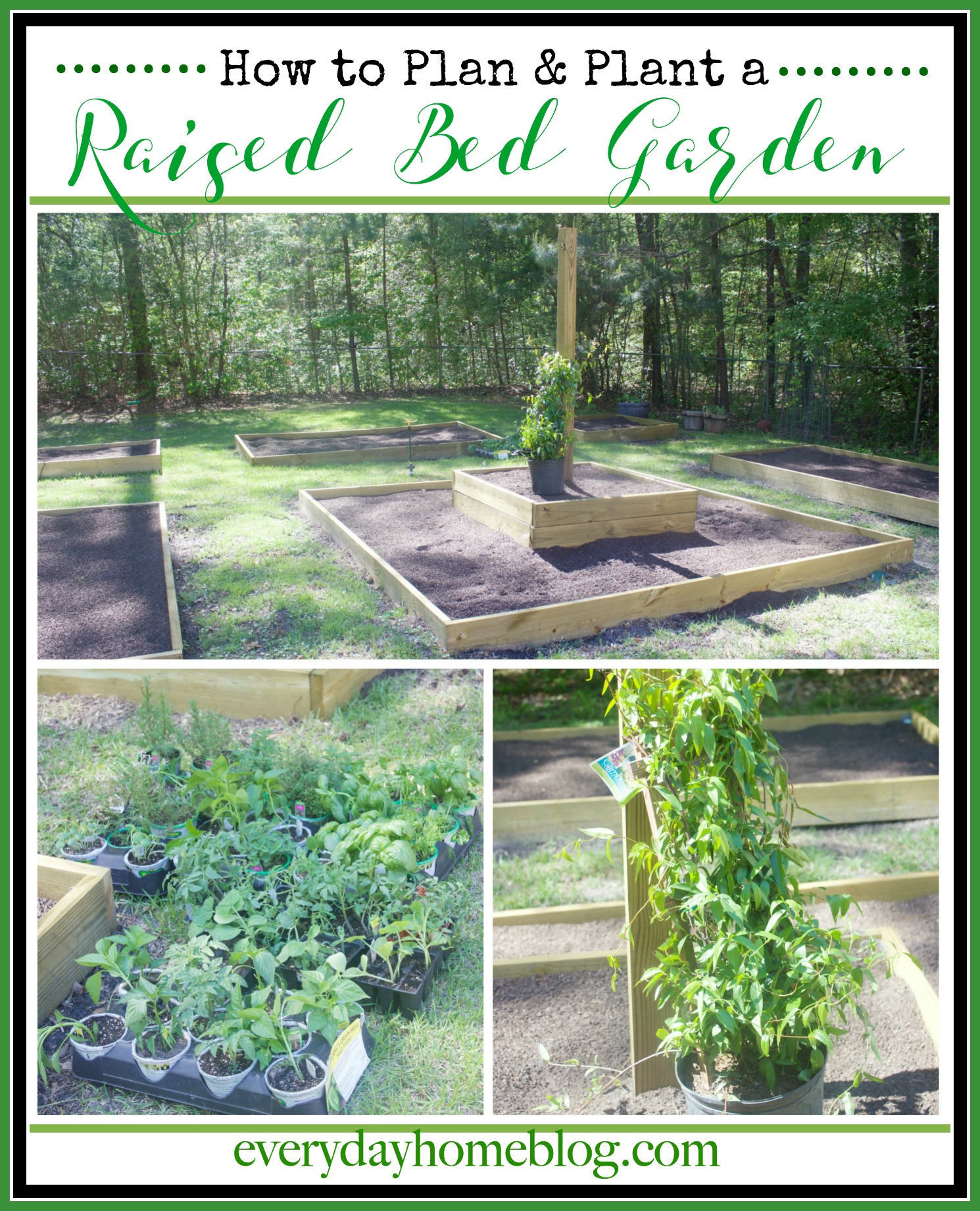 How to Plan & Plant a Raised Bed Garden | The Everyday Home