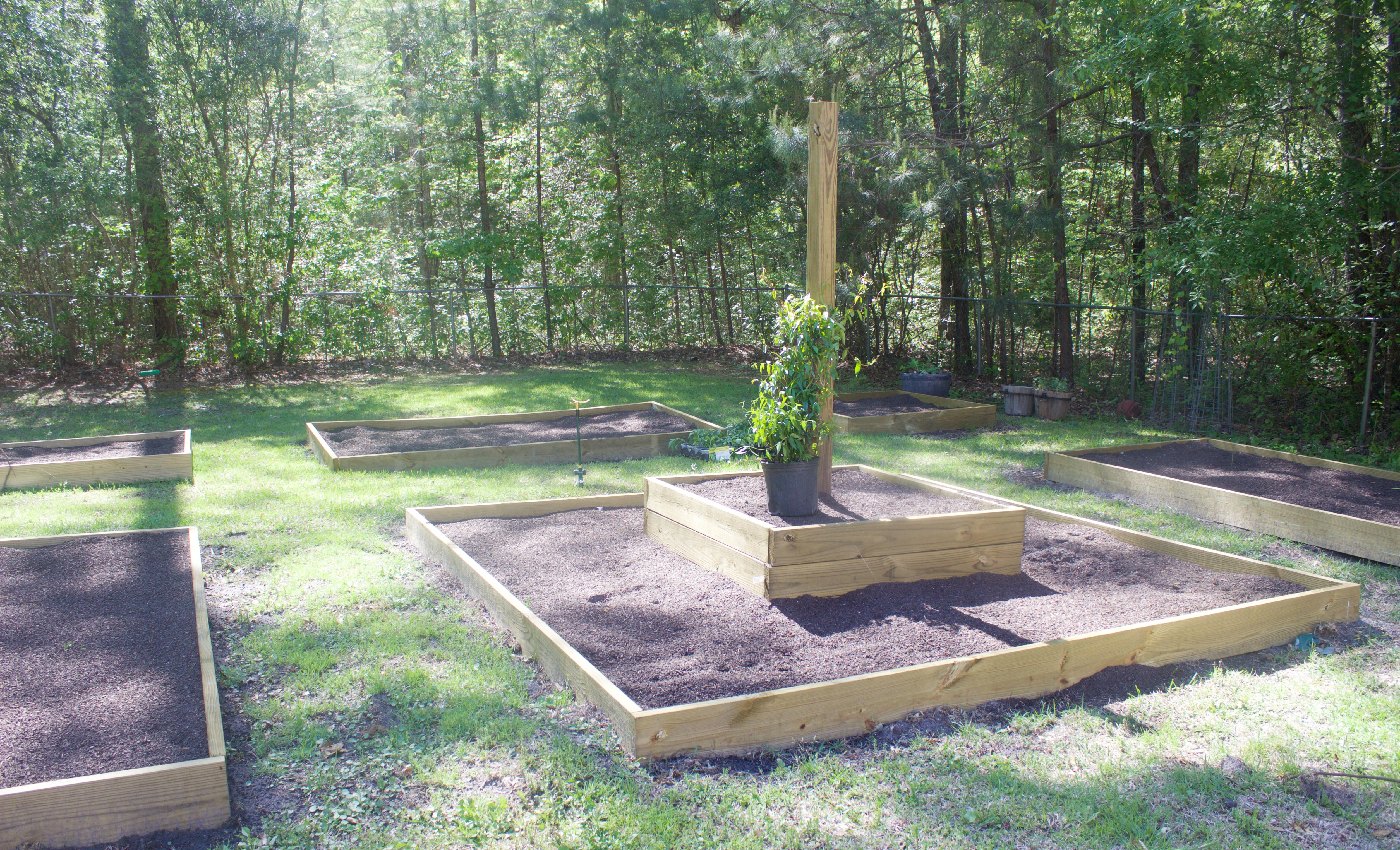 Raised Garden Beds | The Everyday Home