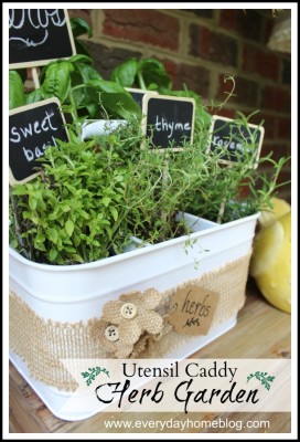 Utensil Caddy Mini Herb Garden 