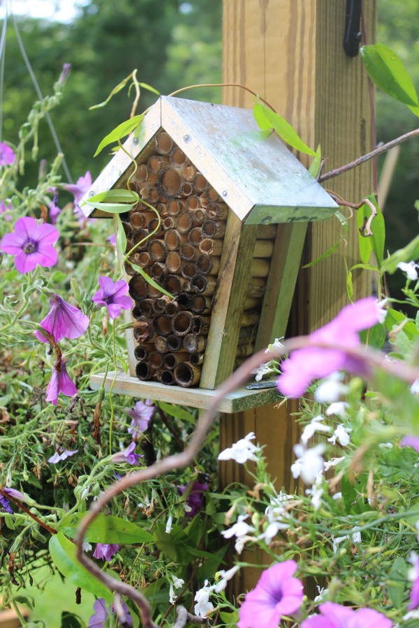 How to Create Your Own Bee Garden | The Everyday Home | www.everydayhomeblog.com
