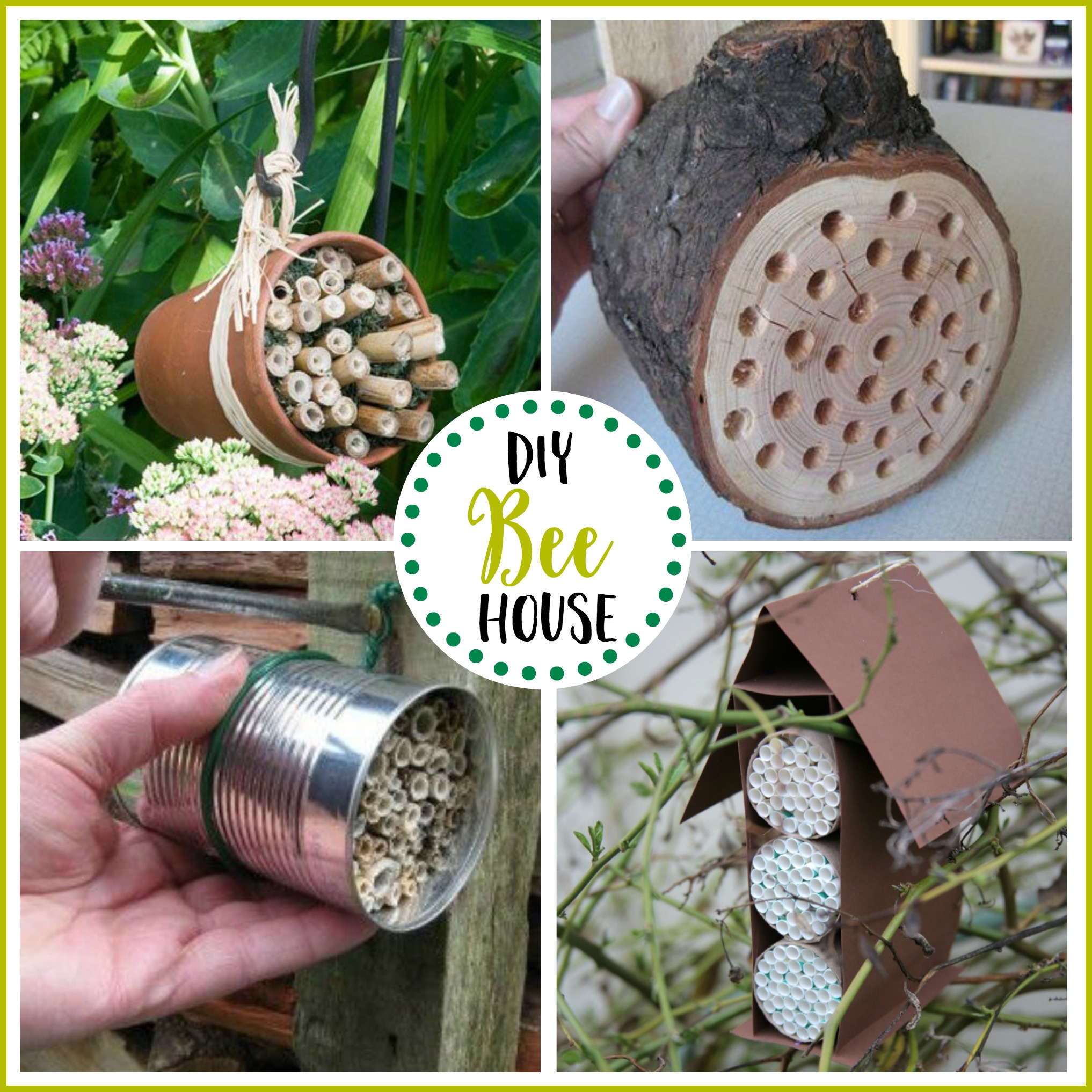 How to Create a Bee Garden - The Everyday Home