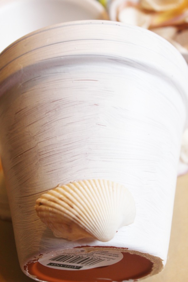 Adding Shells to a Painted Pot | The Everyday Home