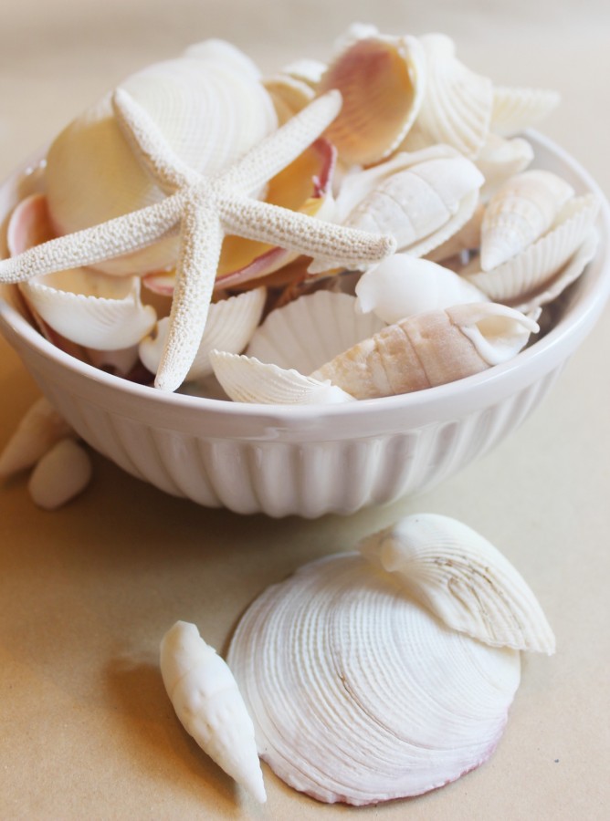 Bowl of Seashells | The Everyday Home