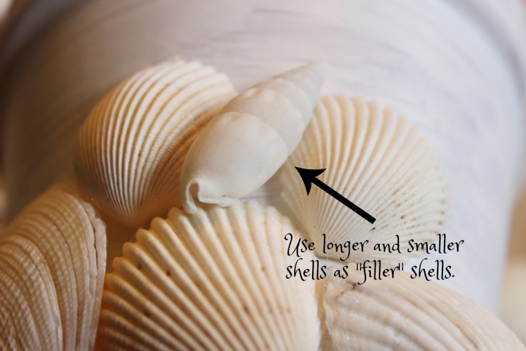 Filler Shells
