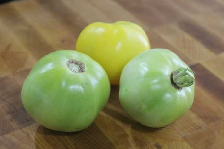 Green Tomatoes | The Everyday Home