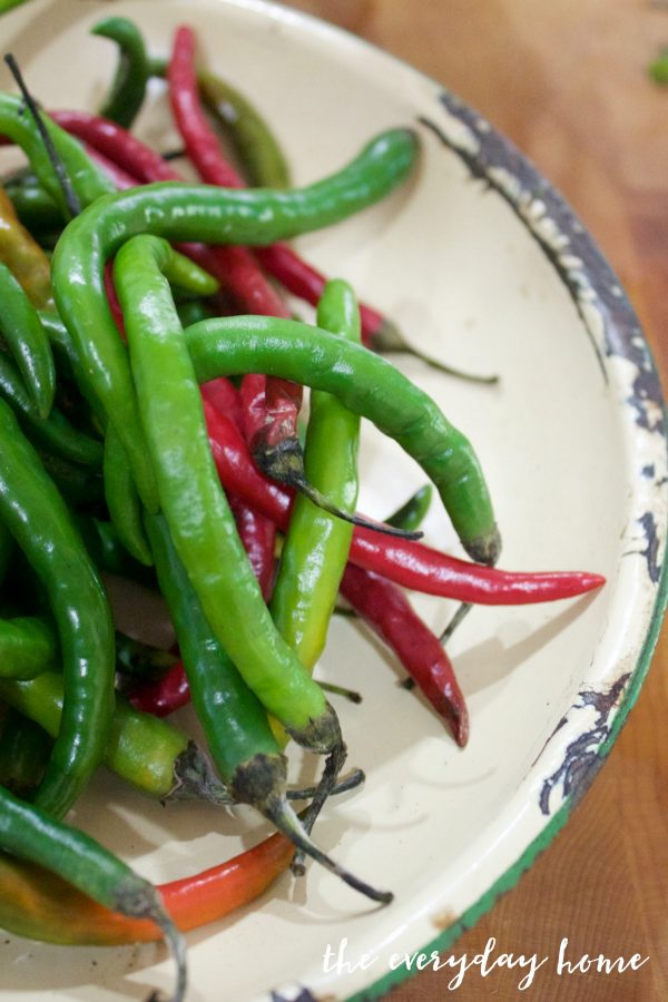 peppers-for-pepper-vinegar | The Everyday Home | www.everydayhomeblog.com