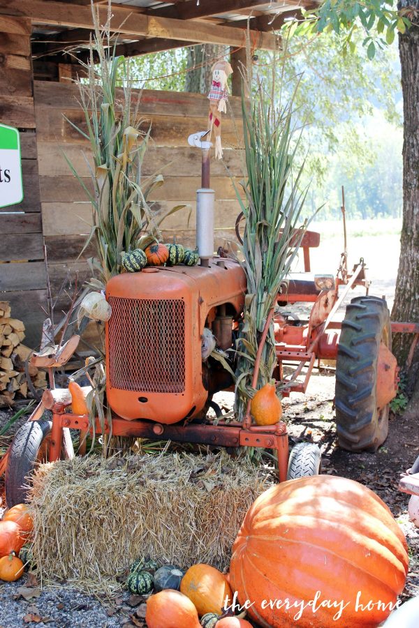 old-orange-tractor | The Everyday Home | www.everydayhomeblog.com