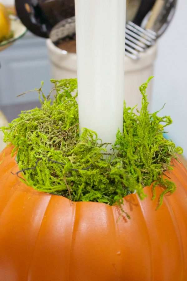 moss-base-in-pumpkin-candleholder-planter | The Everyday Home | www.everydayhomeblog.com