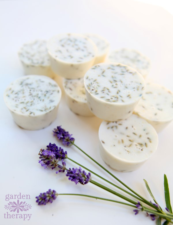 lavender-oatmeal-melt-and-pour-soap-cupcakes