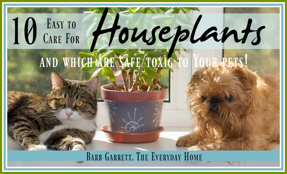 10 Easy to Care for Houseplants | The Everyday Home | www.everydayhomeblog.com
