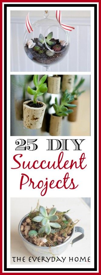 25 Ways to Succulent Projects || The Everyday Home || www.everydayhomeblog.com