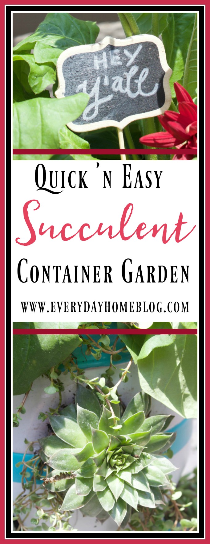 Easy Succulent Garden Container || The Everyday Home || www.everydayhomeblog.com
