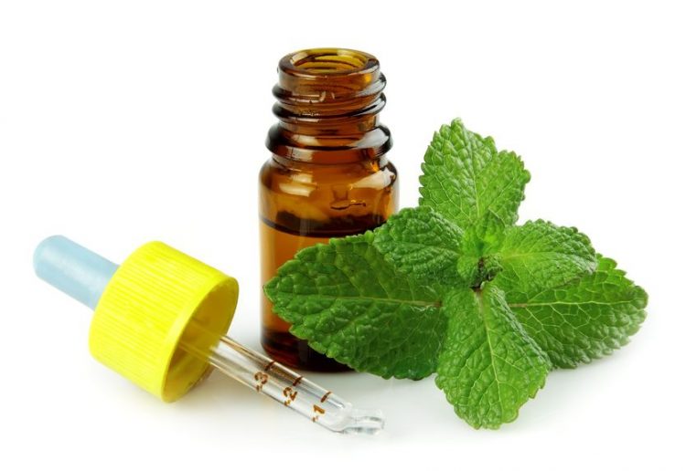Peppermint: One of the 3 Essential Oils Every Home Should Have | The Everyday Home