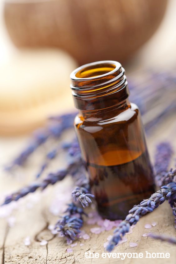 Using Lavender Oil for Homemade Deodorant | The Everyday Home