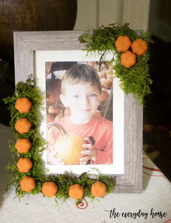 DIY Acorn Mini Pumpkin and Moss Picture Frame | The Everyday Home