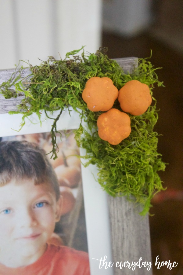 DIY Acorn Mini Pumpkin and Moss Picture Frame | The Everyday Home