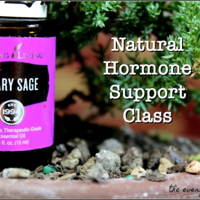 Natural Hormone Support Class | the everyday home